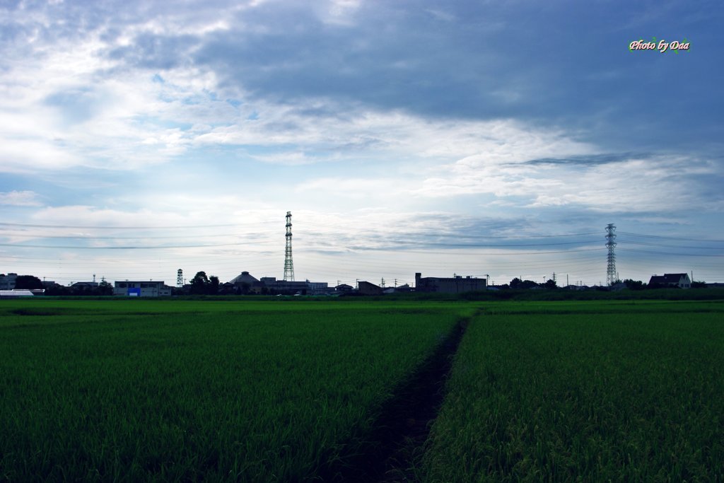 青空が恋しくて