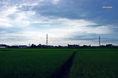 青空が恋しくて 青空が恋しくて