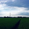 青空が恋しくて