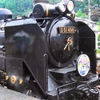 去年のD51