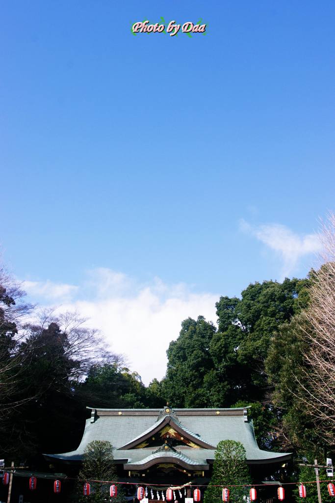 今日のお天気