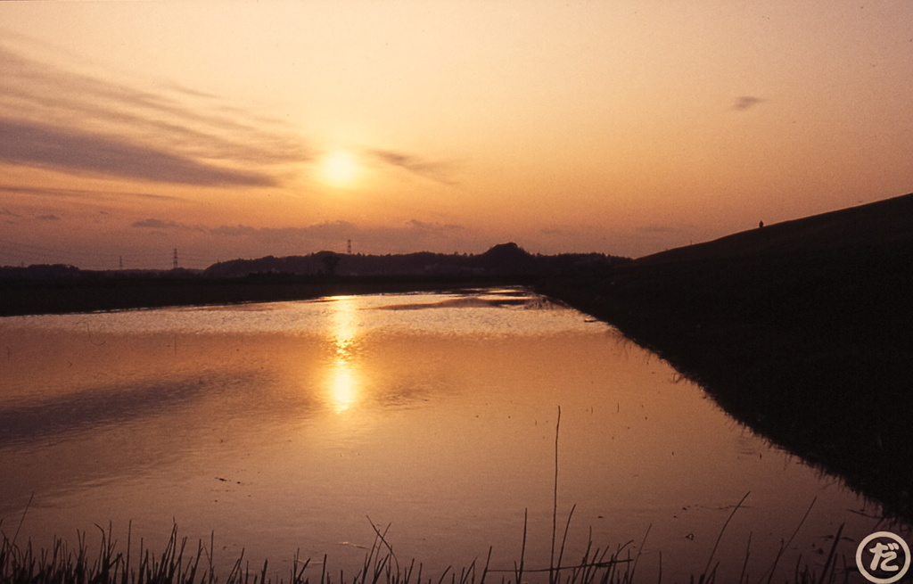 夕焼こやけ