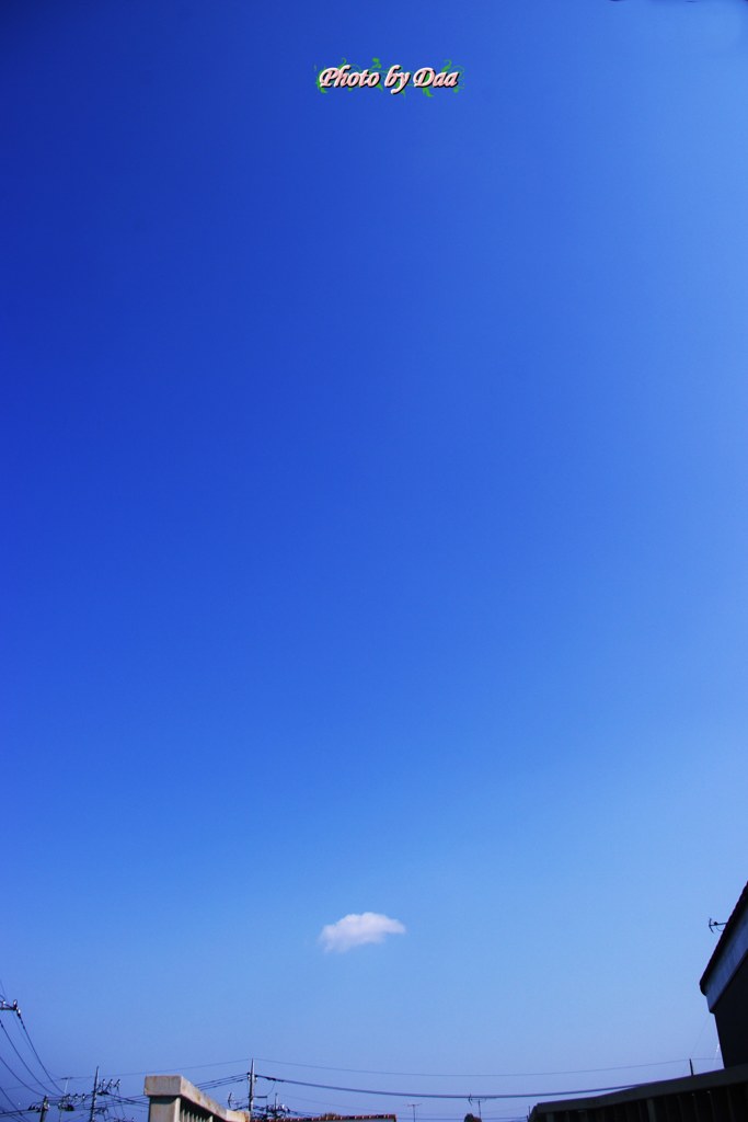 今日のお天気