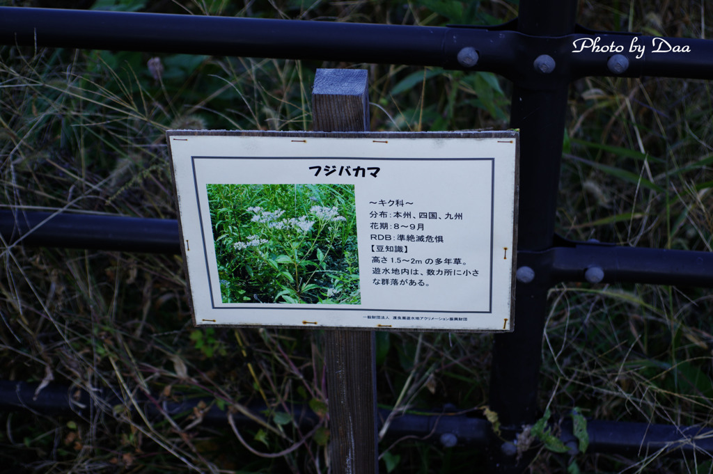 情報