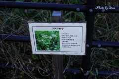 情報
