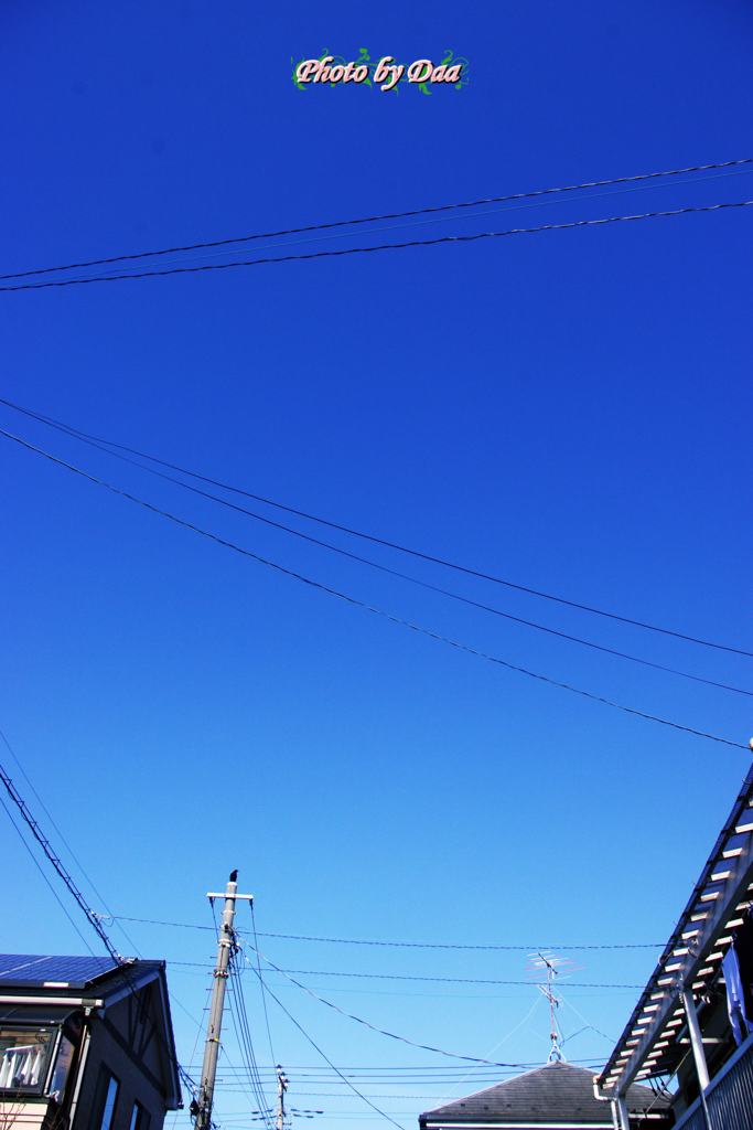 今日のお天気