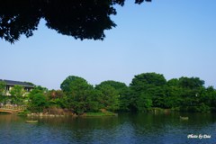 大池公園全景