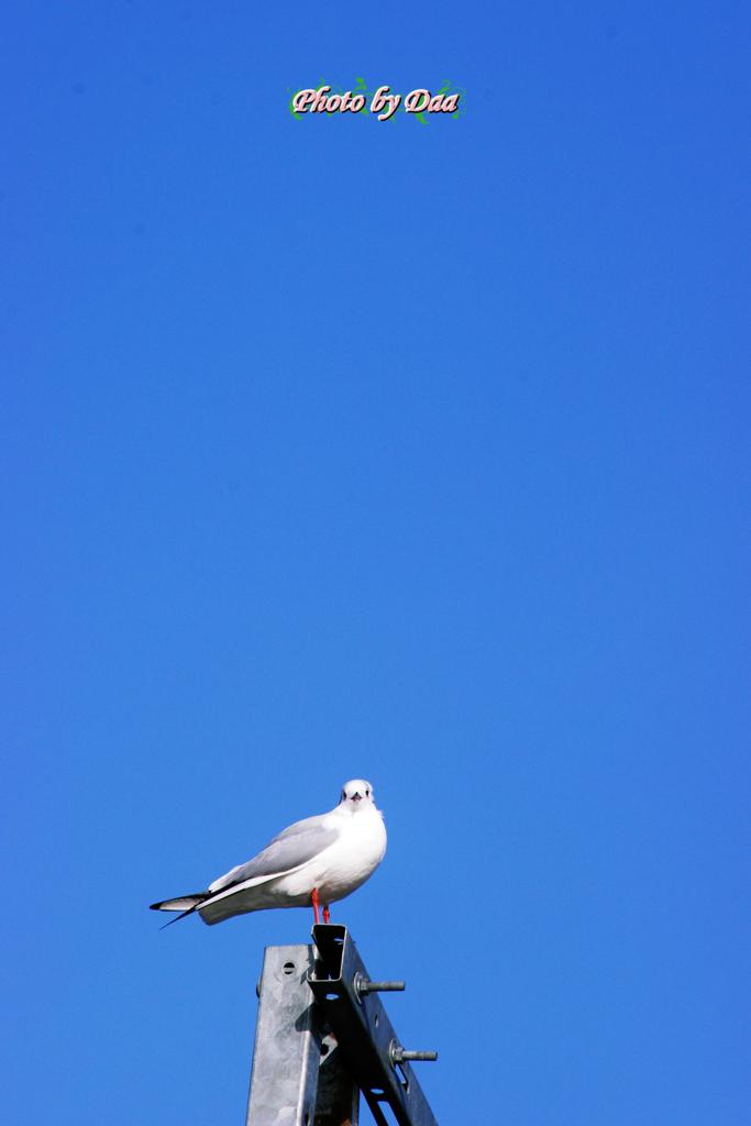 今日のお天気PM