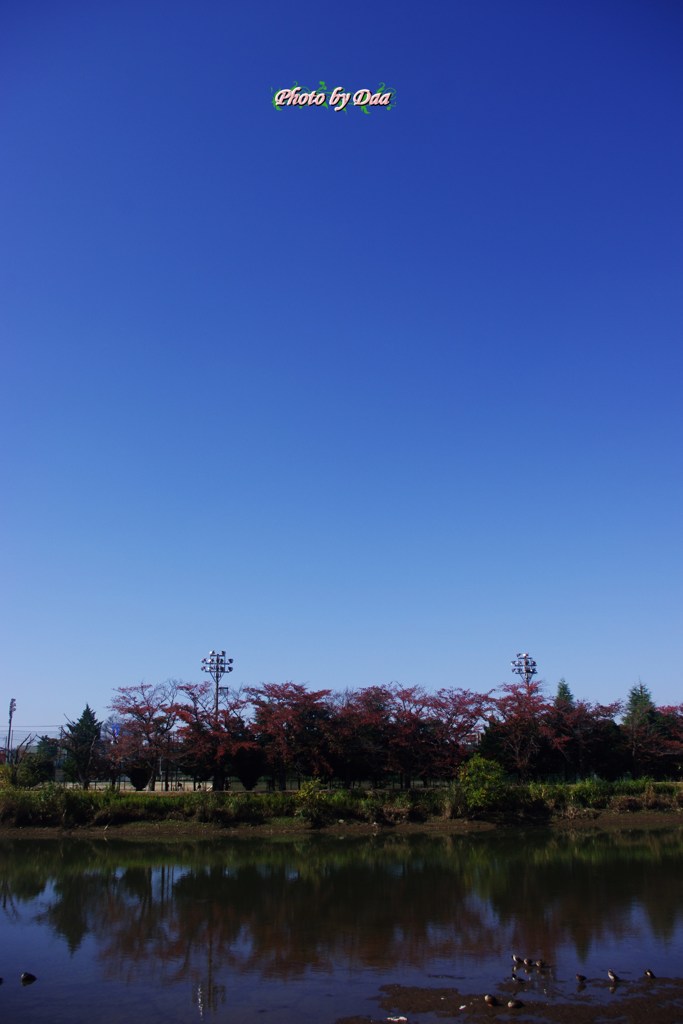 今日のお天気