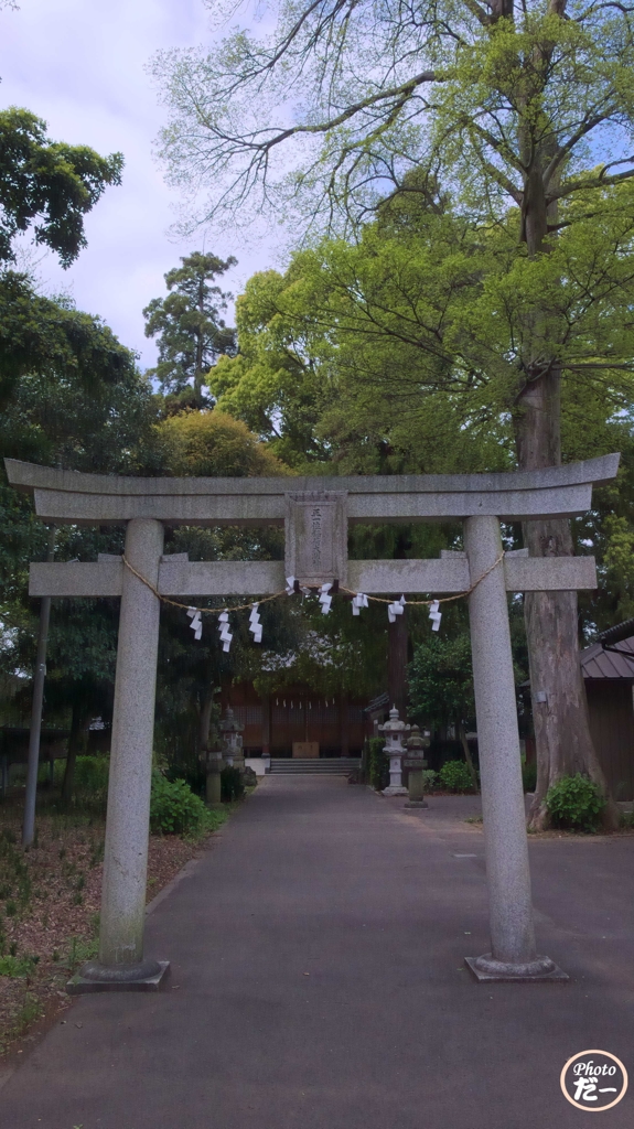春日部備後須賀稲荷神社参道
