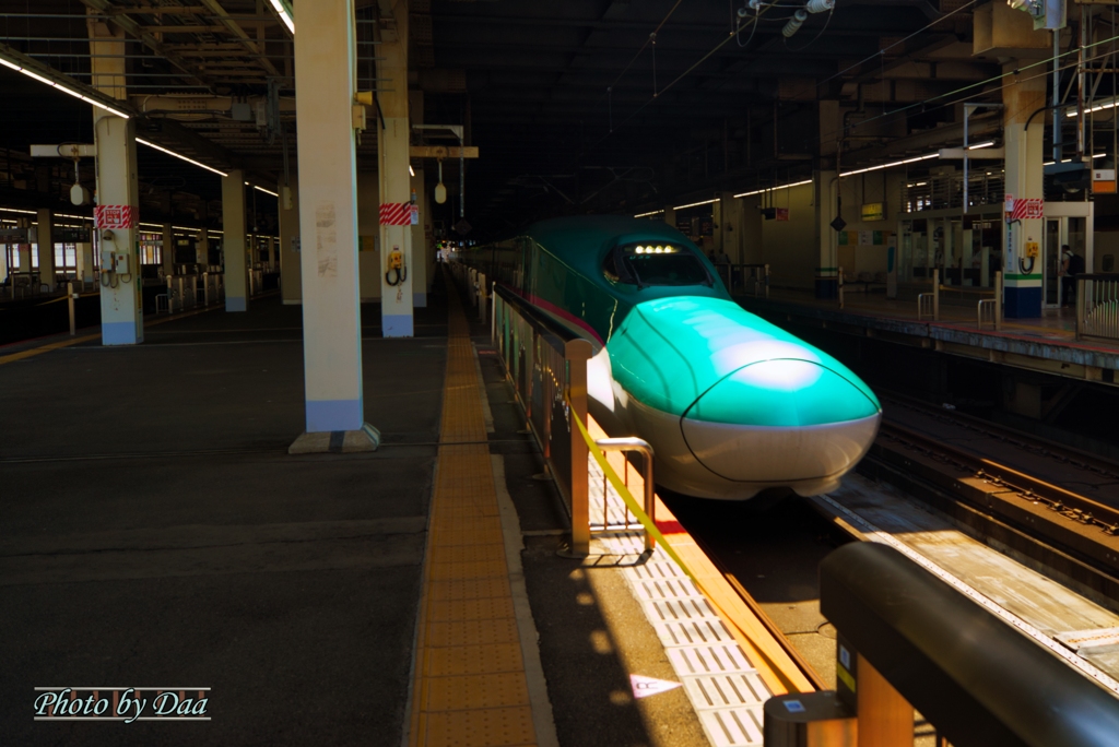 東北へ