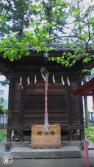 春日部備後須賀稲荷神社内にある須賀天神様