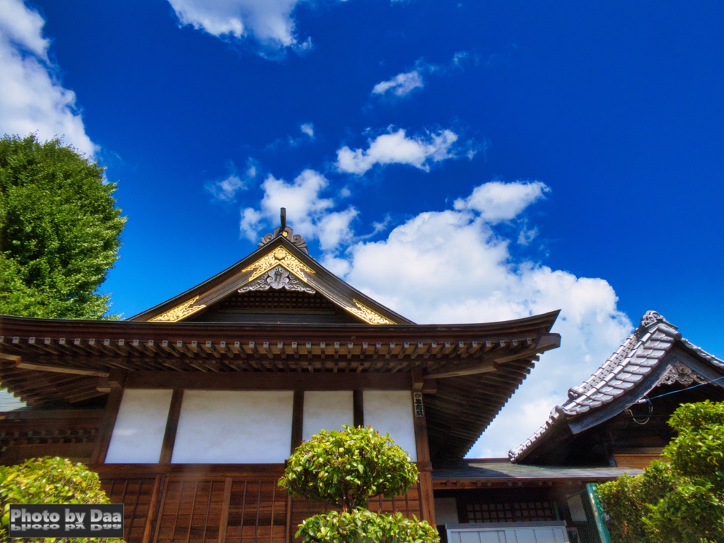 社と雲