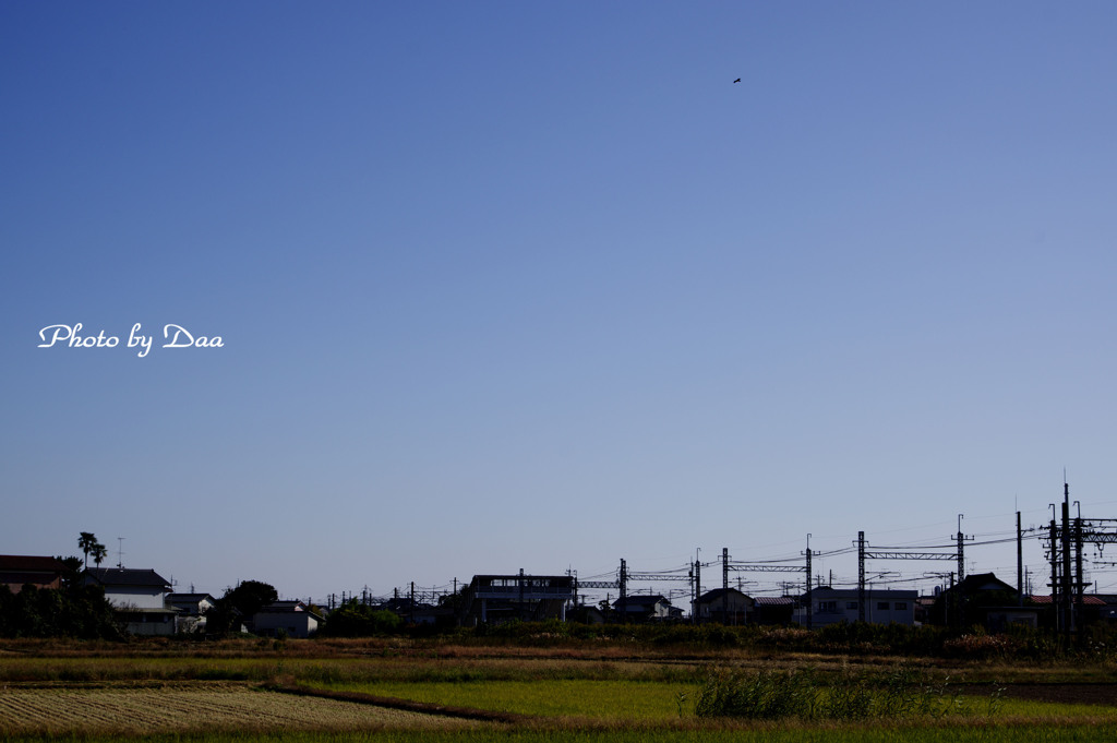 柳生駅周辺