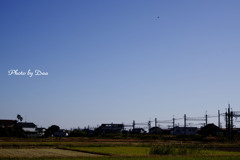 柳生駅周辺