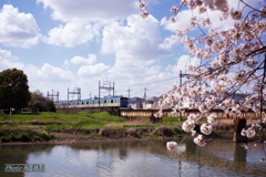 桜と60000系