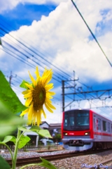 ようこそ夏の東武鉄道へ