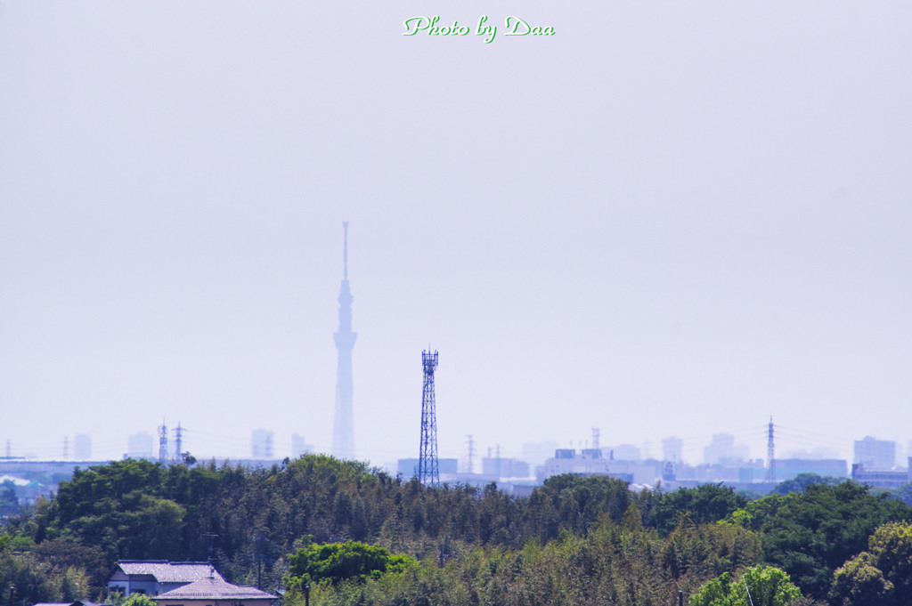 霞むスカイツリー