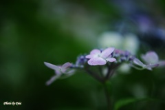 雨を受ける（その２）