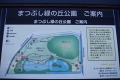 まつぶし緑の丘公園