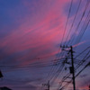 夕焼け