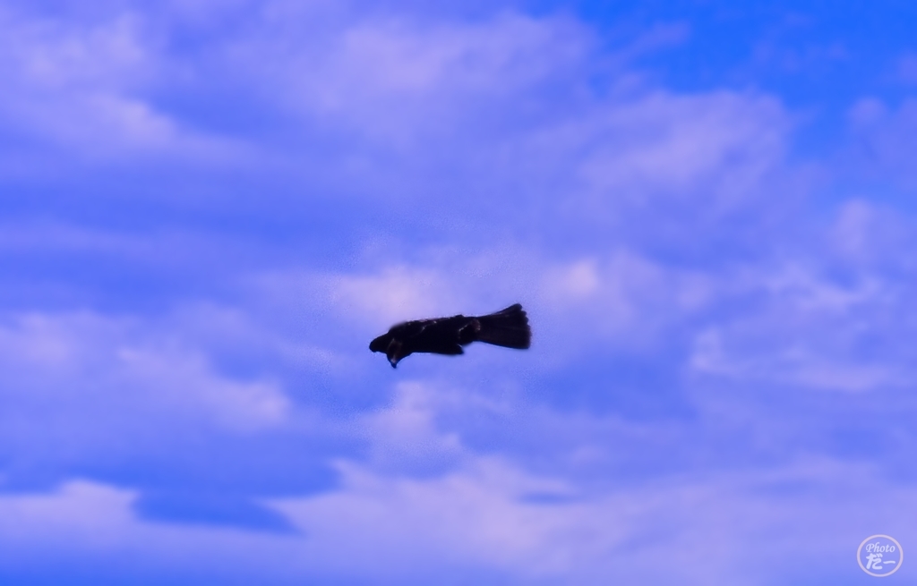 狙う