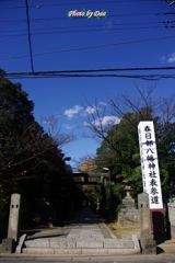 今日のお散歩コース