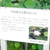 案内板