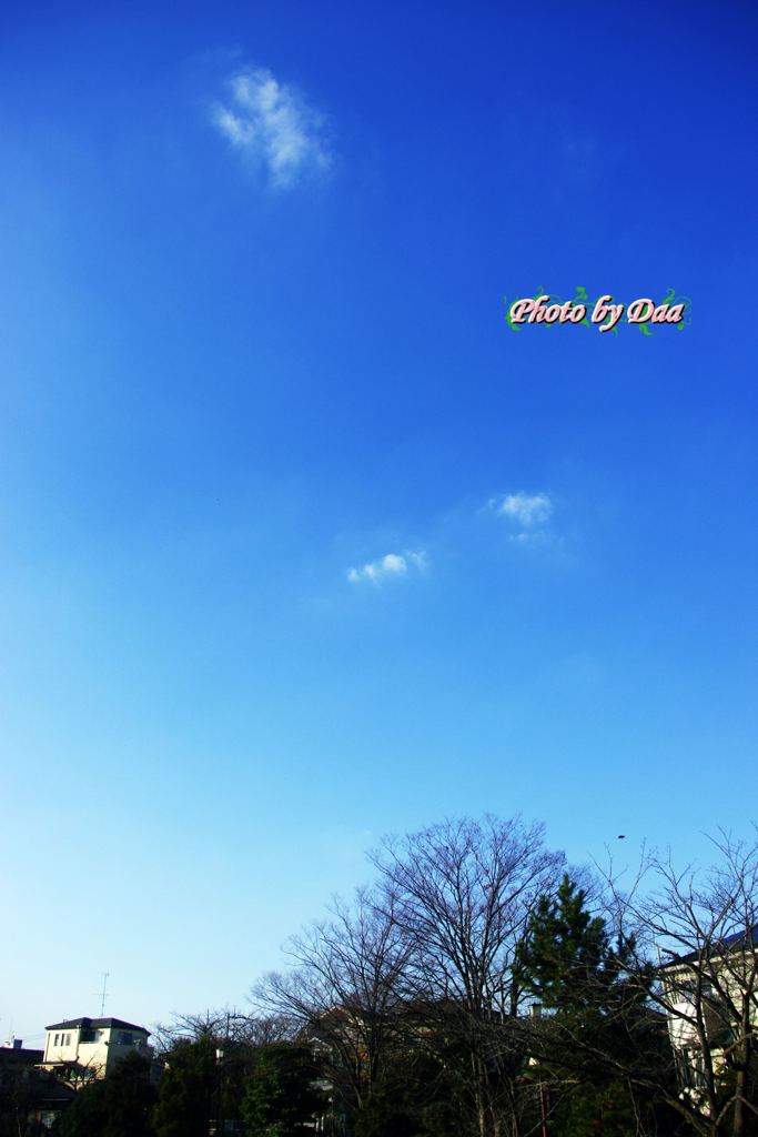 今日のお天気