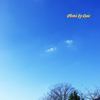 今日のお天気