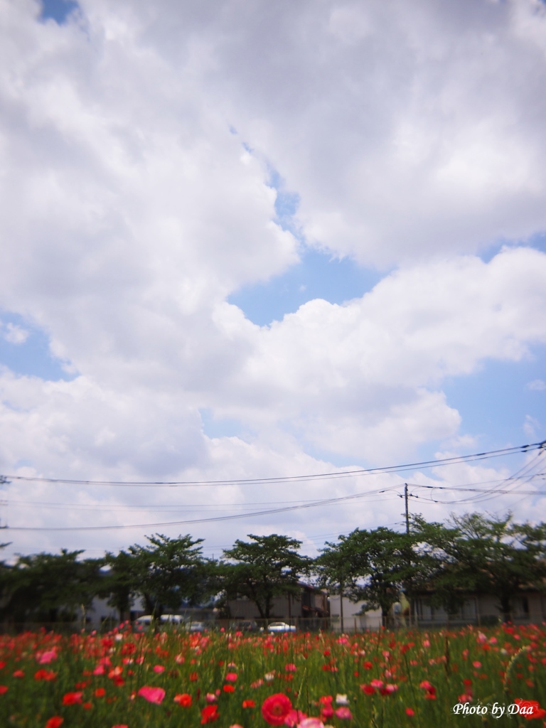 低い雲