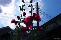 天に向かって