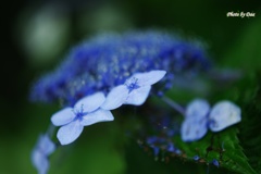 雨を受ける（その１）