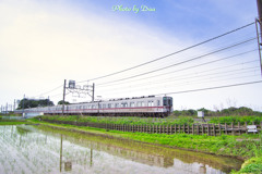 田んぼの脇を走る Ⅰ