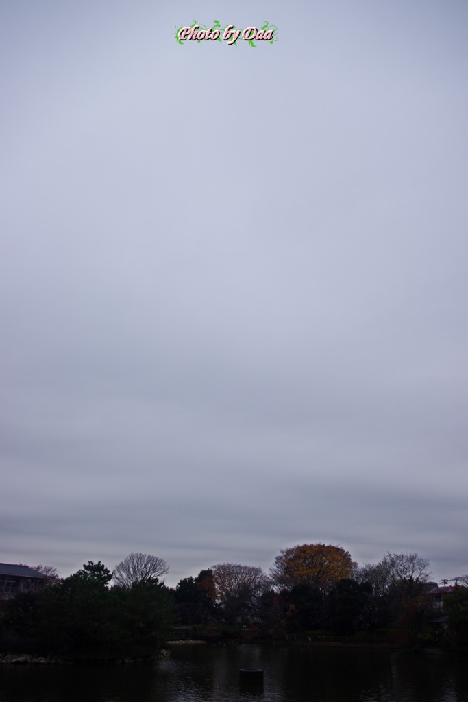 今日のお天気