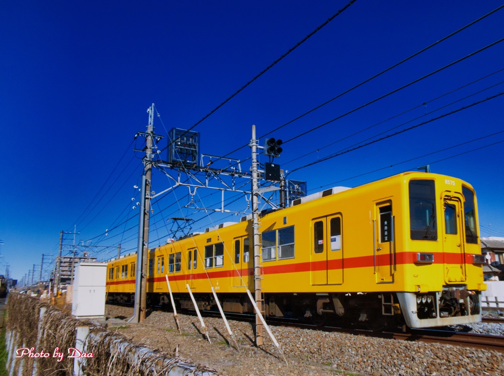 幸せの黄色い電車Ⅱ