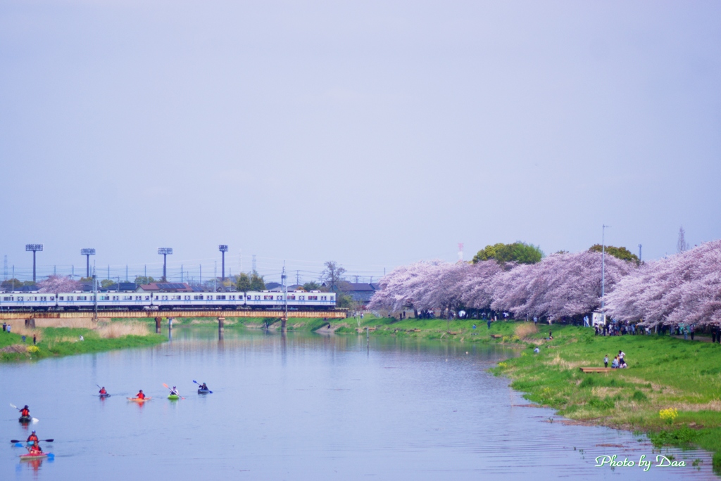 桜とカヌーと電車