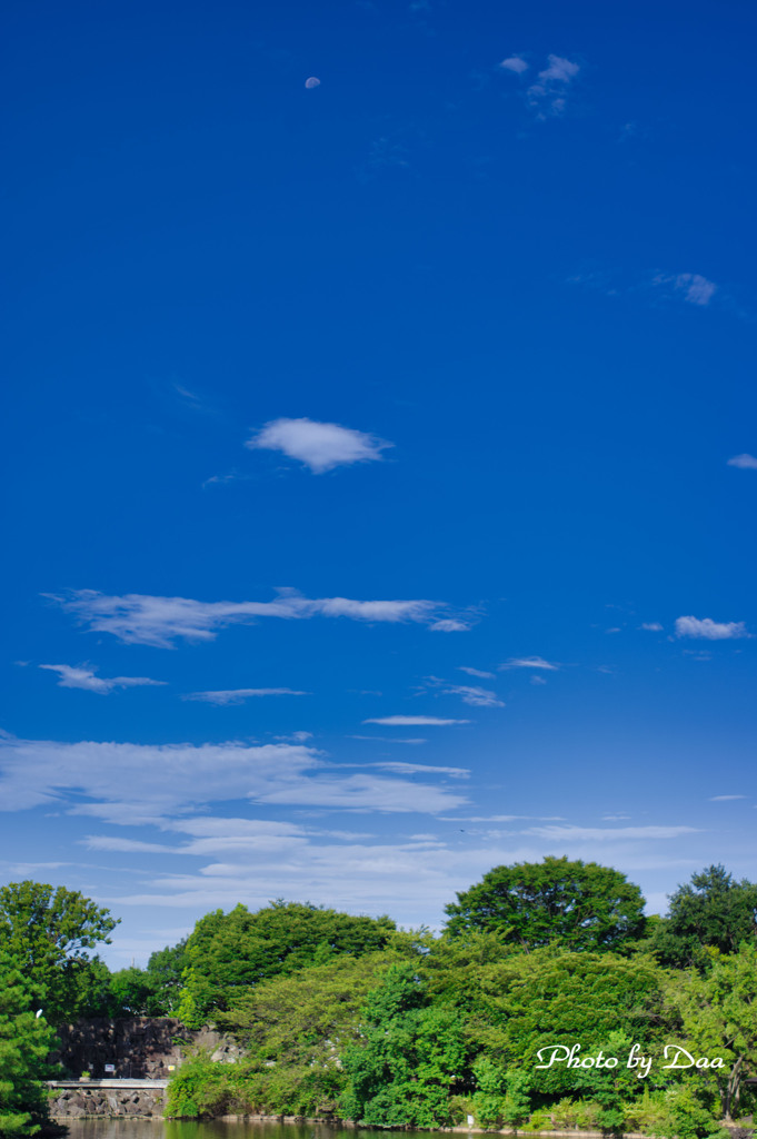 ９月８日の朝の空