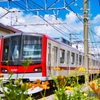 東武70000系とキバナコスモス