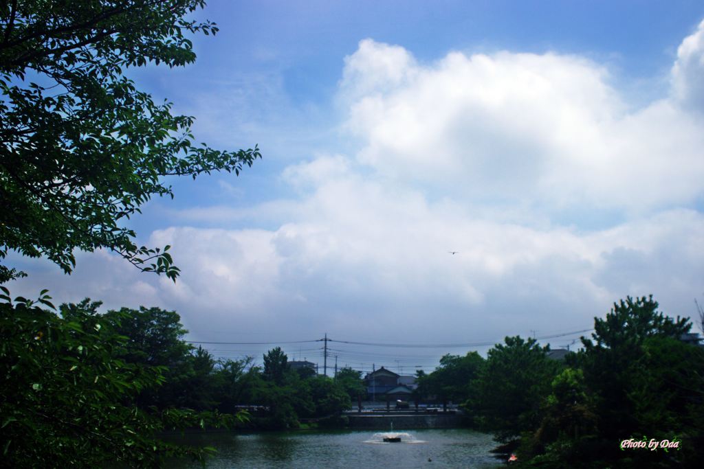 夏
