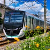 東急2020系とキバナコスモス