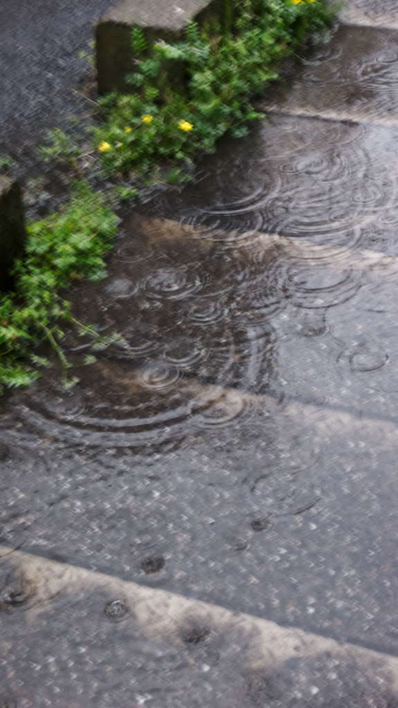 雨