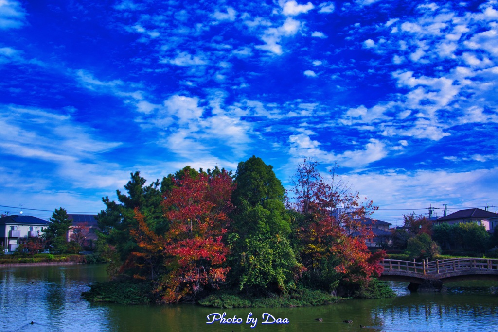 大池公園と秋の空