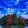 大池公園と秋の空
