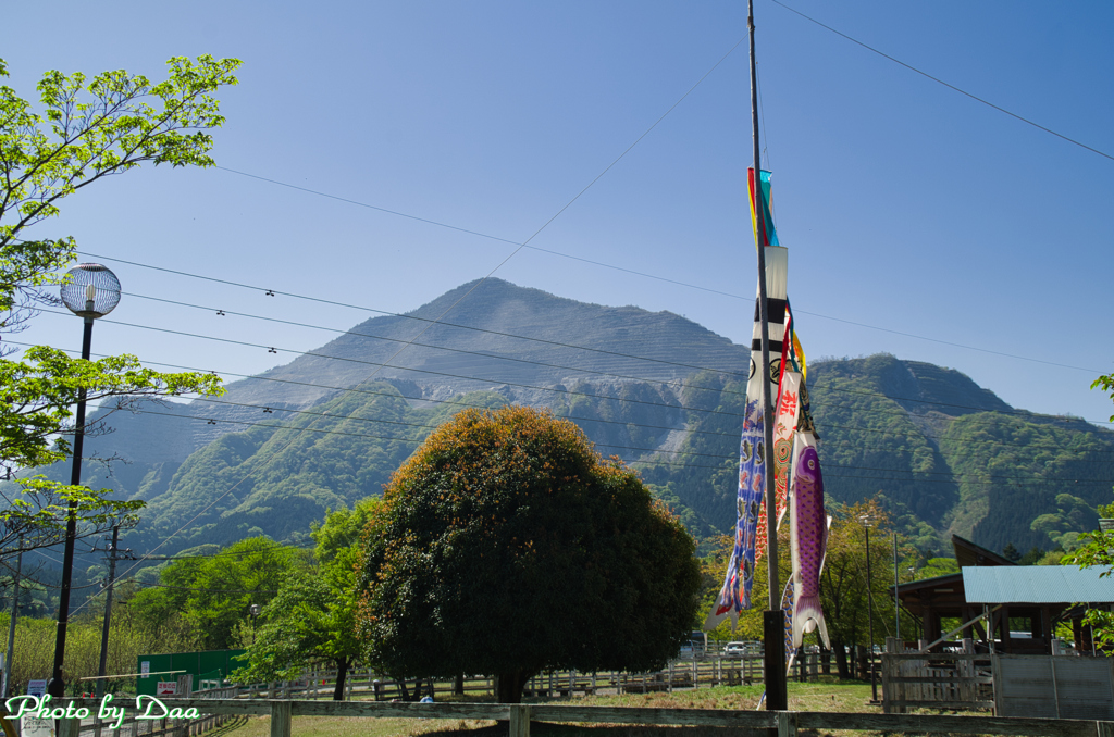 武甲山と鯉のぼり