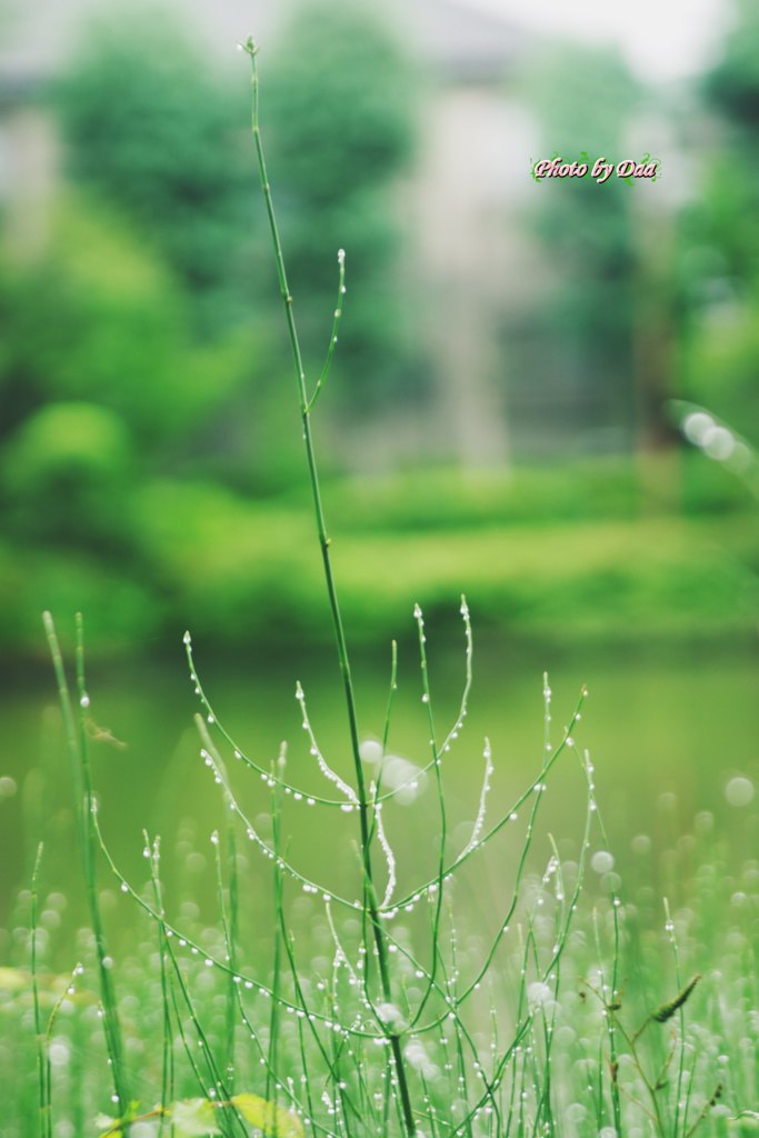 雫ほわほわ（その１）