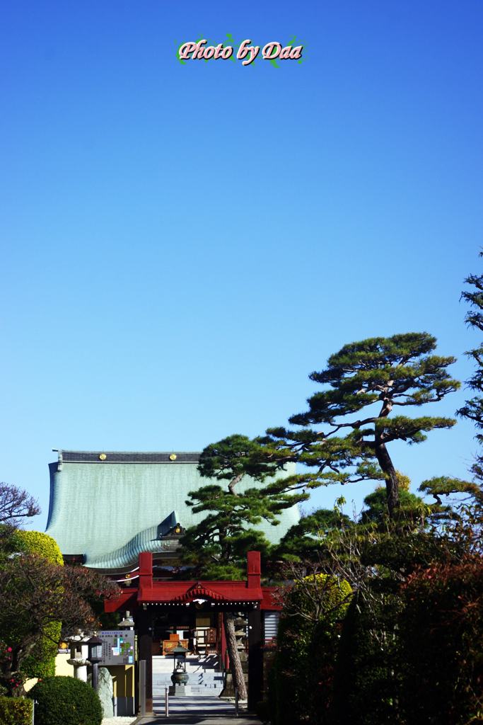 今日のお天気