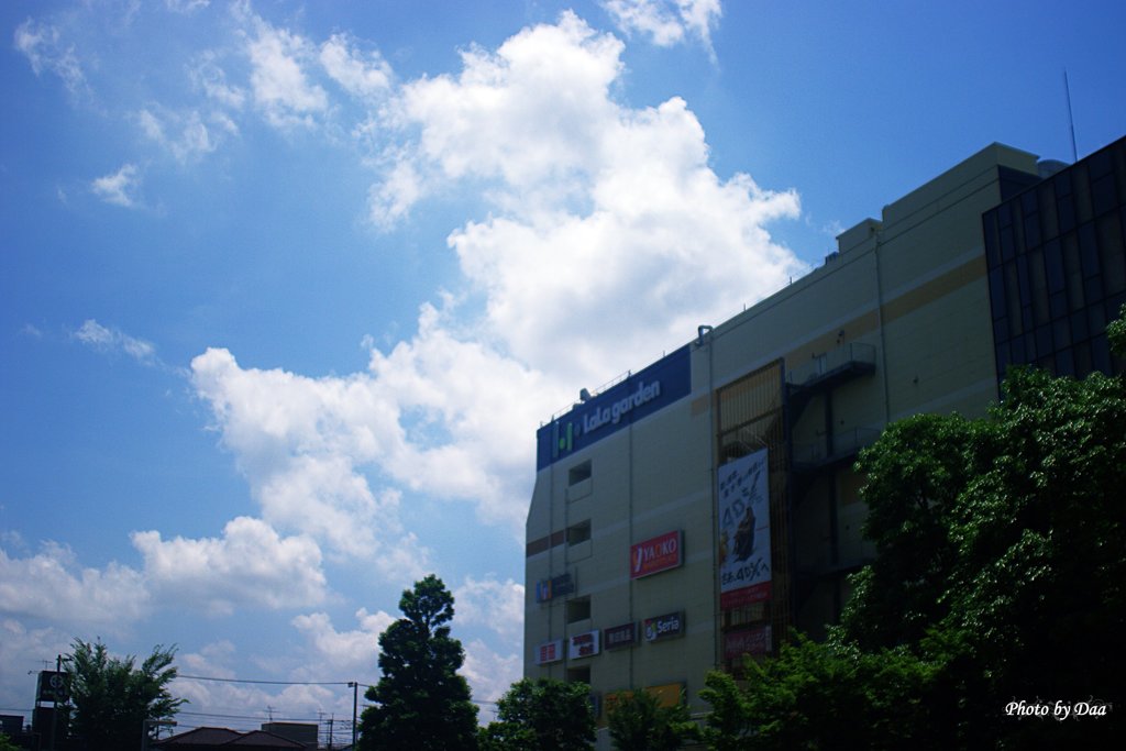 夏の空