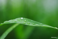 雨の日（その２）