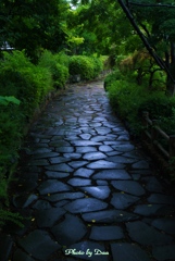 雨の石畳